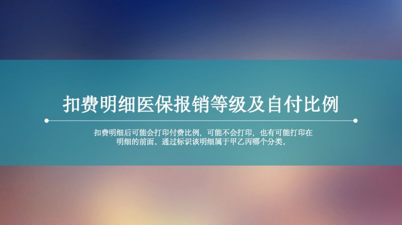 扣费明细医保报销等级及自付比例-芦台数据工厂