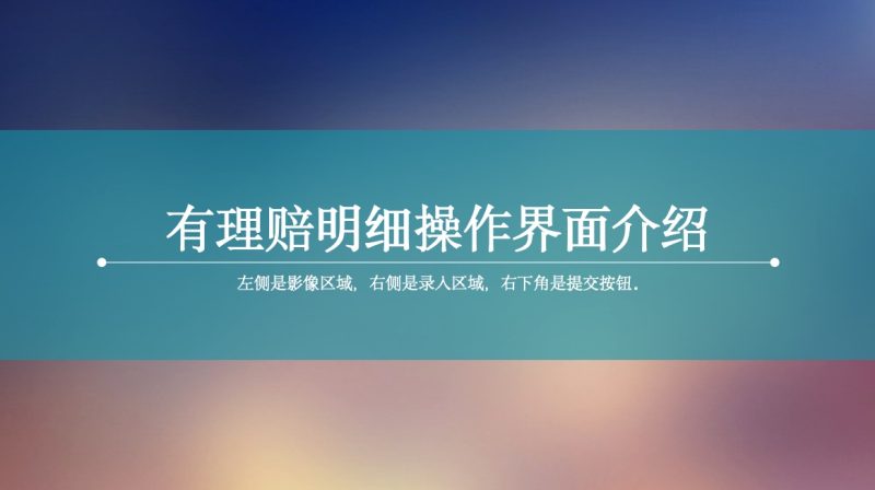 有理赔明细操作界面介绍-芦台数据工厂